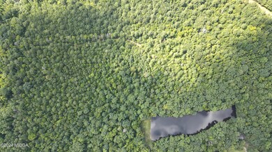 0 Skinner Rd unit 176648, Gray, GA 31032 - photo 4