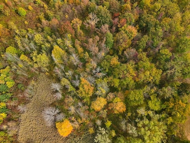 8188 Route 104 A, Wolcott, NY 14590 - photo 7