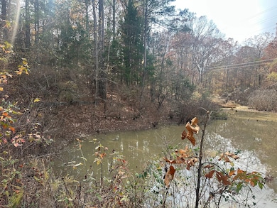 Pine Lake Dr, Batesville, MS 38606 - photo 6