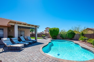 Gorgeous Pool and Backyard