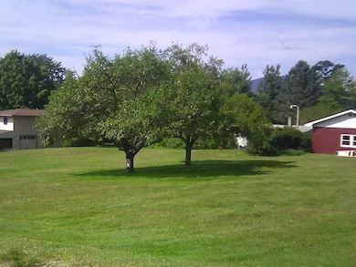 145 Langdell Rd, Morristown, VT 05661 - photo 2