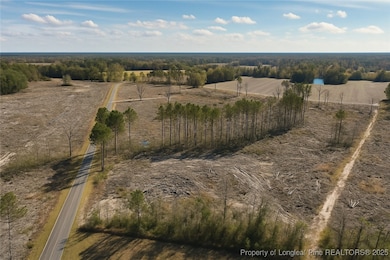 Lot 7 Barnesville Church Rd, Orrum, NC 28369 - photo 5