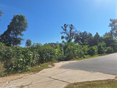 335 E 12th St, Apopka, FL 32703 - photo 3