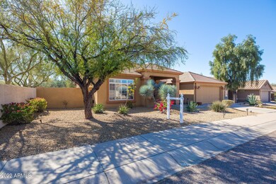 4-web-or-mls-7D3A1476