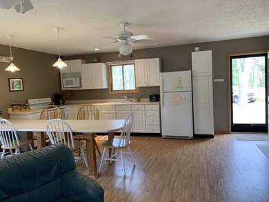 1216 Beaver Rd, Bitely, MI 49309 - photo 5