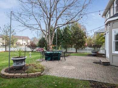 3708 Celeste Ln, Naperville, IL 60564 - photo 6