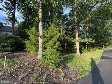 218 Birdie Rd, Locust Grove, VA 22508 - photo 3