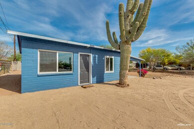 02-Palo Verde