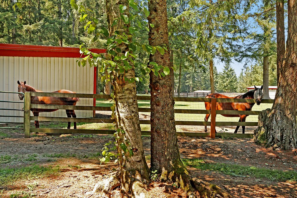 37929 292nd Way SE, Enumclaw, WA 98022 - photo 6