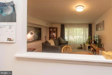 10570 Main St unit 308, Fairfax, VA 22030 - photo 4