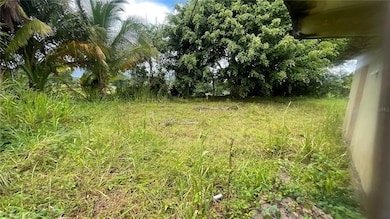 908 st Barrio Tejas, Yabucoa, PR 00767 - photo 3