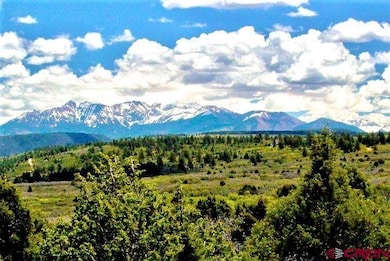 10 N Reserve Dr, Norwood, CO 81423 - photo 7