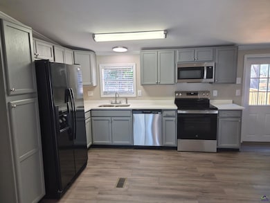 221 Hanover Dr, Byron, GA 31008 - photo 3