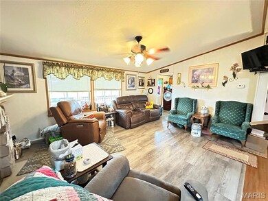 3054 Highway F, Salem, MO 65560 - photo 7