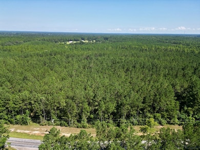 Nhn Gobbler Head Rd, Poplarville, MS 39470 - photo 4