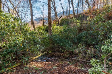 Lot Huckleberry Dr unit 24, Maggie Valley, NC 28751 - photo 6