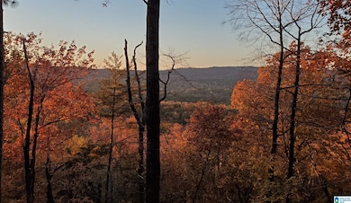 438 Stonegate Dr, Birmingham, AL 35242 - photo 4