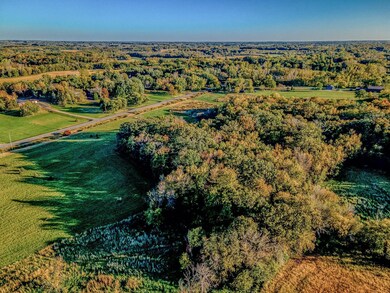 301X Nelson Rd, Delano, MN 55328 - photo 5