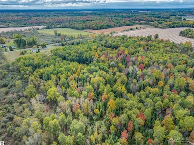 2616 Wickes Rd, West Branch, MI 48661 - photo 7