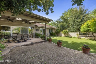 Spacious Backyard