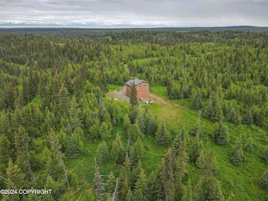 000 Stag Stream Ln, Nikolaevsk, AK 99556 - photo 5