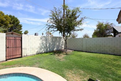 Grass Area