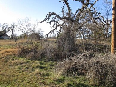 19087 White Bluff Dr, Whitney, TX 76692 - photo 3