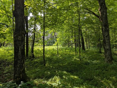 N6683 Aspen Rd, Phillips, WI 54555 - photo 5