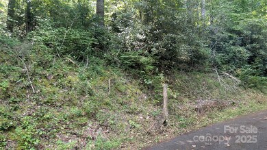 00 Chestnut Walk Dr unit 3, Waynesville, NC 28786 - photo 3