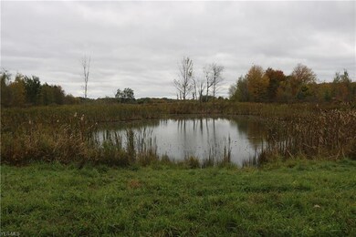 0 N Richmond Rd, Pierpont, OH 44082 - photo 3