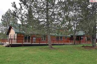 Nice yard - looking at back of home of living room