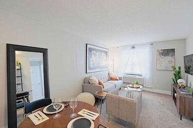 1505 N Peoria Ave unit 1002, Peoria, IL 61603 - photo 4