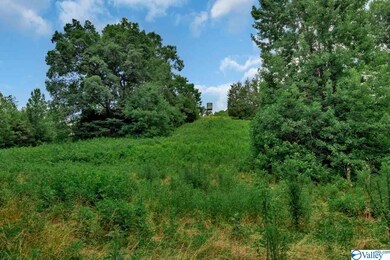 1300 Stella Rd, Prospect, TN 38477 - photo 3