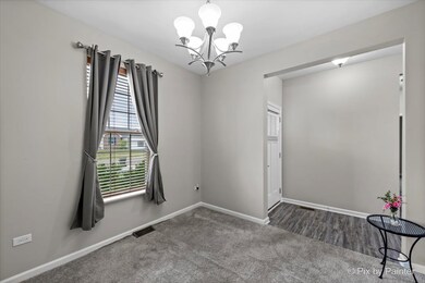 2160 Magenta Ln, Lake In the Hills, IL 60102 - photo 5