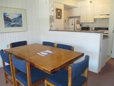 23 Black Bear Way unit 510, Waterville Valley, NH 03215 - photo 6