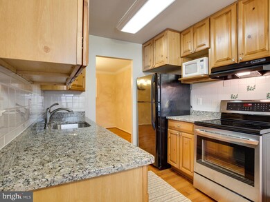 12834 Fantasia Dr, Herndon, VA 20170 - photo 4