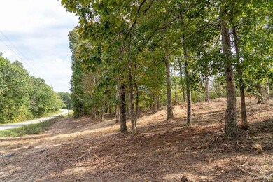 79 Tennessee 232, Dover, TN 37058 - photo 5