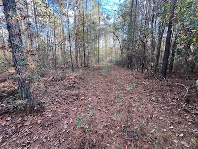 25 ac Smyrna Rd, Florala, AL 36442 - photo 5