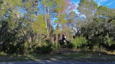 7931 Rhanbuoy Rd, Spring Hill, FL 34606 - photo 2