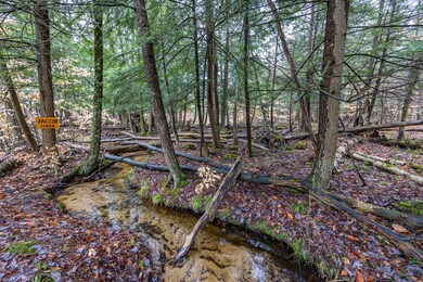 Mitchell creek