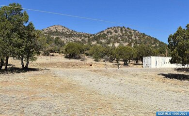 5207 Little Walnut Rd, Silver City, NM 88061 - photo 6