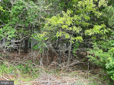 742 State Route 9, Mystic Islands, NJ 08087 - photo 3