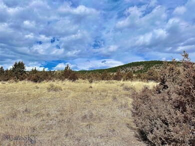 Juniper Trees