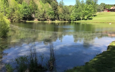 689 Blackberry Mountain Dr, Ellijay, GA 30536 - photo 2