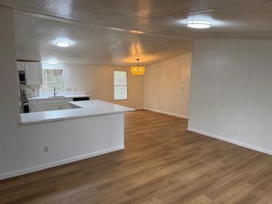 195 E Turner St, Summerville, SC 29483 - photo 3