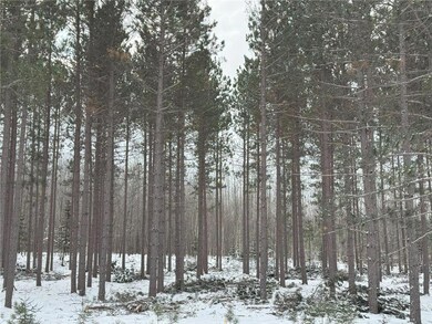 000000000 County Rd E, Mason, WI 54856 - photo 7