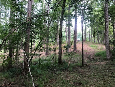 Lot 1 and 2 Amber Dr, Jacksons Gap, AL 36861 - photo 7