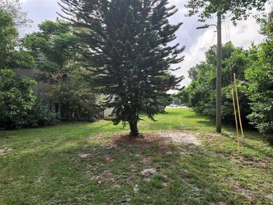 back yard