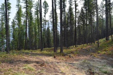 951 Wolverine Dr, Seeley Lake, MT 59868 - photo 3