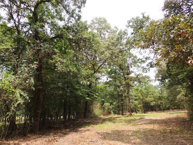Lot 32C and 33A Rose Cir, Magnolia, TX 77355 - photo 5